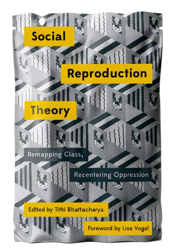 Mapping Social Reproduction Theory – Care Economy eBook by Pluto Press-0