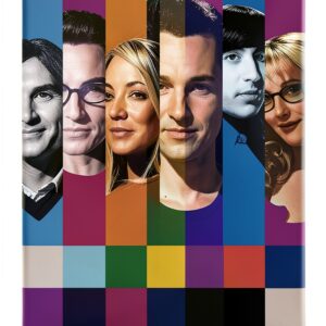 The Big Bang Theory Signals Stampa incorniciata 30x40 cm Cornice nera-0