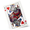 Theory Animal Kingdom Playing Cards theory11 - Mazzo FSC WWF-4